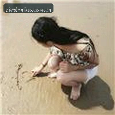 陈磊