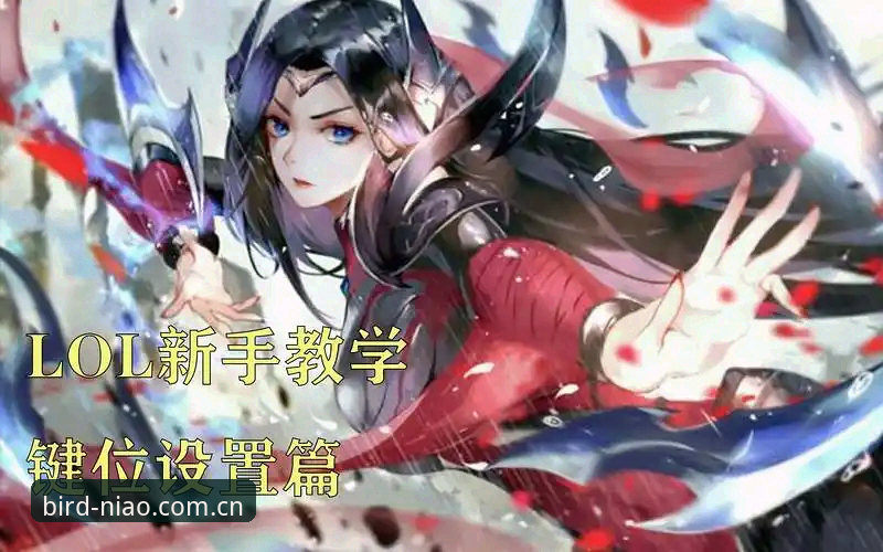 小鸟体育竞猜安装教程 揭秘小鸟体育竞猜安装教程:新手必知的流畅体验与提现真相
