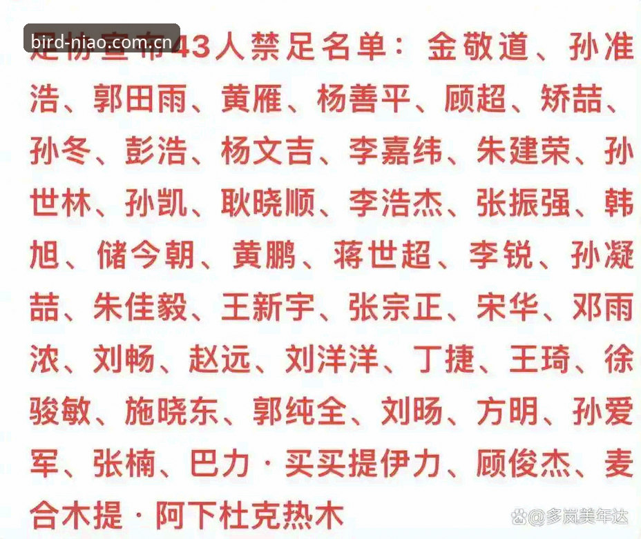 足协第三批禁足名单实操解读指南：小鸟体育注册入口查名单、看数据、避坑全流程