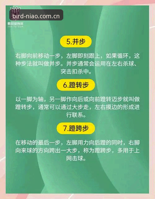 小鸟体育使用教程：资深用户详解45.9MB安装包与提现全流程