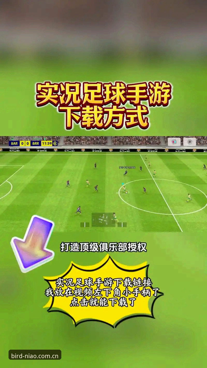 小鸟体育最新动态：官方下载入口与v2.3.1版本实战指南